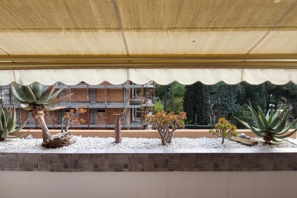 Ampio Monolocale Con Terrazzo - A 2 Passi Dal Mare Διαμέρισμα Latte Εξωτερικό φωτογραφία